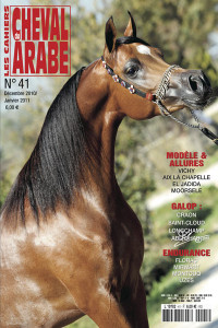 41 - LES CAHIERS DU CHEVAL ARABE