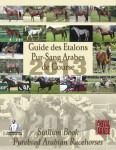 Guide des Étalons Pur-Sang Arabes de Course 2013