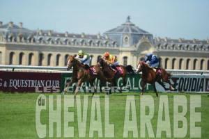 MABROOKA_2688 - Chantilly 2015