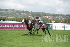 AL MOURTAJEZ_5150 - Deauville 2015