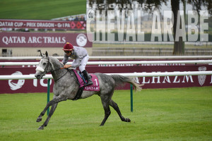 Prix Dragon-3656 - Chantilly 2016