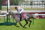 Prix Dragon-3660 - Chantilly 2016