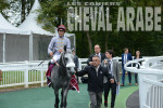 Prix Dragon-3678 - Chantilly 2016