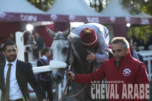 QAWC-Almourtajez-Chantilly-7325