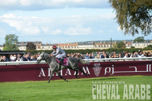 QAWC-Almourtajez-Chantilly-7299