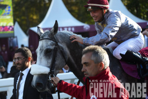 QAWC-Almourtajez-Chantilly-7331