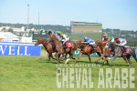 Al RayyanCup-Kesberoy-Deauville_8897