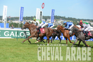 Al RayyanCup-Kesberoy-Deauville_8900