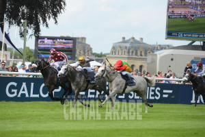 Derby des PSAR de 4 ans-8629 - Chantilly 2016