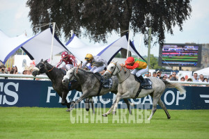 Derby des PSAR de 4 ans-8631 - Chantilly 2016