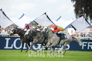 Derby des PSAR de 4 ans-8633 - Chantilly 2016