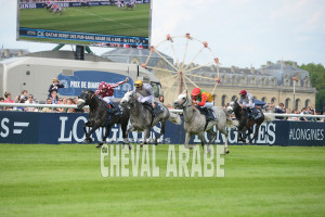 Derby des PSAR de 4 ans-8625 - Chantilly 2016