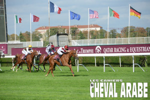 EASTERdeFAUST-QATfillies_9736