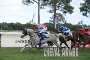 Prix Nez d'Or-8743 - La Teste 2016