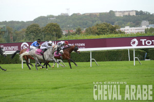 Qatar Arabian Trophy des Poulains-Saint-Cloud 2016-6700