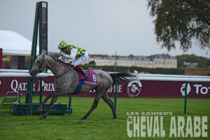 Naziq-QATjuments-Chantilly-7034