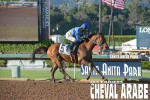 PADDYS-DAY-SantaAnita2017_2726