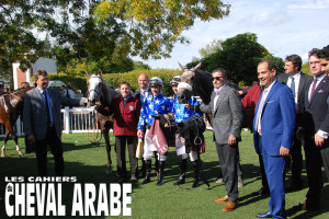 RAJEH-QATcolt_9046