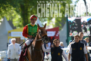 Doha Cup - Prix Manganate-9011-Deauville 2016